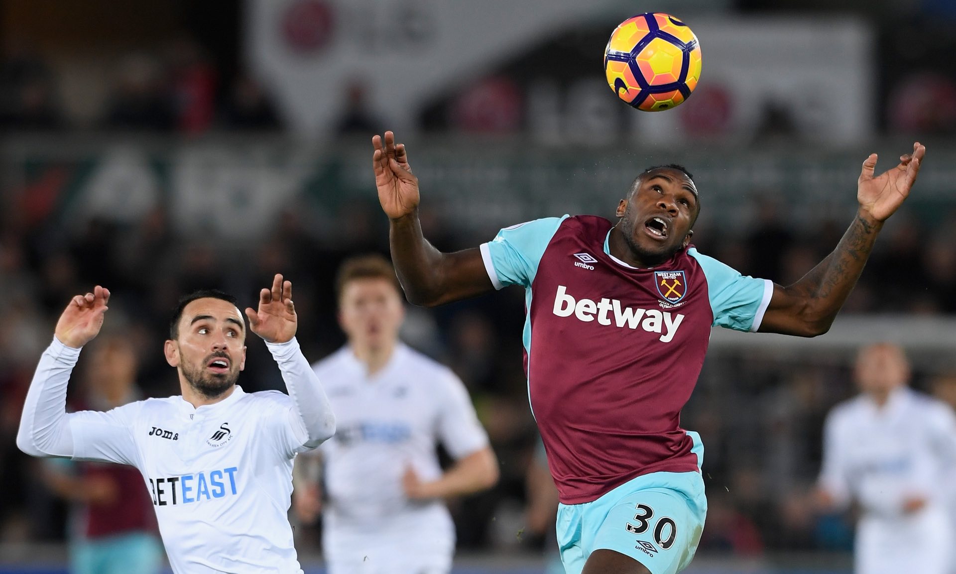 他并不盲目 他并不盲目